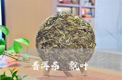 普洱茶 飘叶/2023042726726